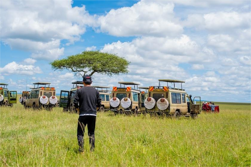 Safari jeep approaching a lone acacia in Siana's Conservancy